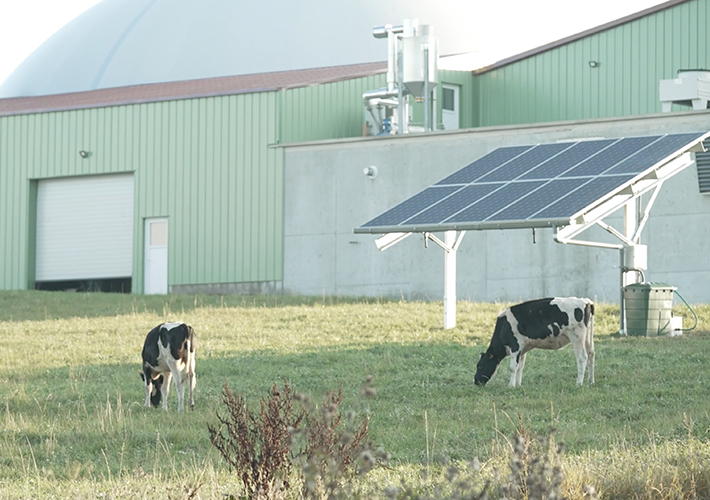 foto noticia Iberdrola se adjudica cuatro proyectos de innovación agrovoltaicos en Francia.